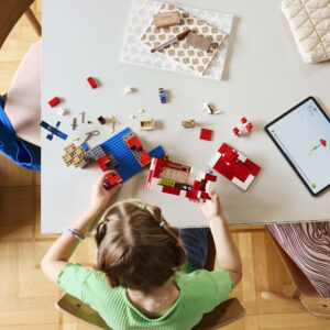 LEGO Minecraft Seene maja - Image 3