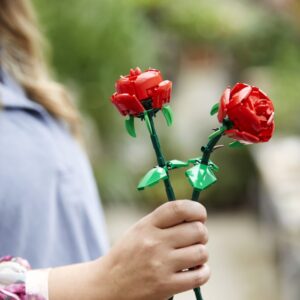 LEGO Roosid - Image 5
