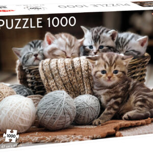 Tactic pusle 1000 tk Armsad kassipojad