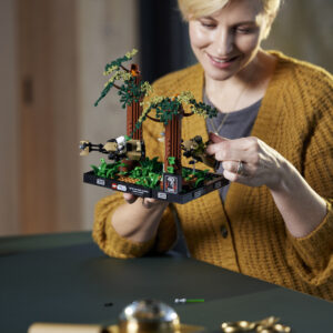 LEGO Star Wars Endor-i kiirendaja tagaajamise dioraam - Image 4