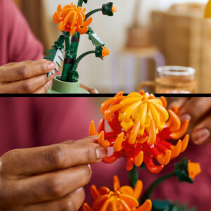 LEGO Botanical Collection Krüsanteem - Image 4