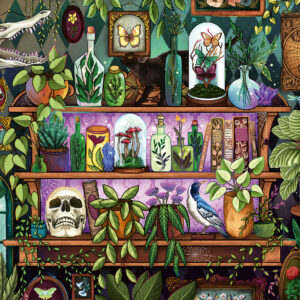 Ravensburger pusle 2000 tk Võluri riiul - Image 2