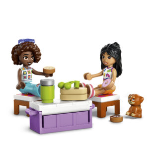 LEGO Friends Sõpruse matkaauto - Image 3