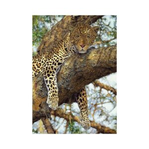 Dino pusle 1000 tk Leopard - Image 2