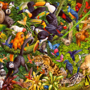 Ravensburger pusle 200 tk Troopiline vihmamets - Image 2