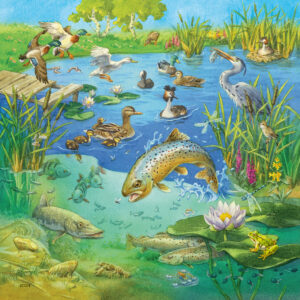 Ravensburger pusle 3x49 tk Metsloomad - Image 2