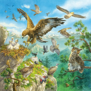 Ravensburger pusle 3x49 tk Metsloomad - Image 3
