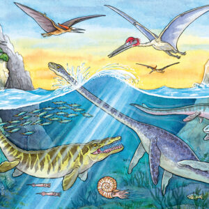 Ravensburger pusle 2x24 tk Eelajaloo dinosaurused - Image 3