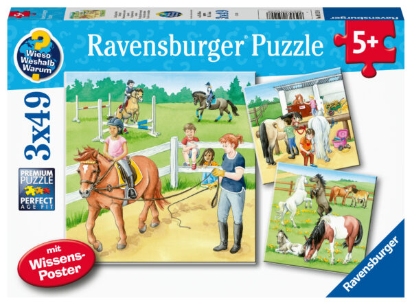 Ravensburger pusle 3x49 tk Hobused