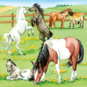 Ravensburger pusle 3x49 tk Hobused - Image 3