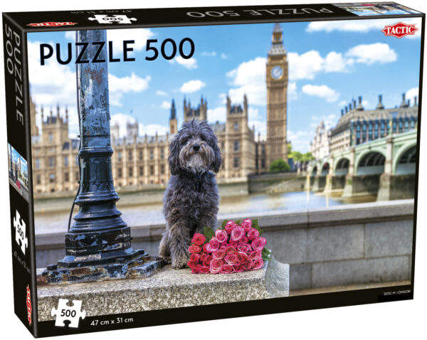 Tactic pusle 500 tk Koer Londonis