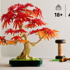 LEGO Botanicals Jaapani punase vahtra bonsaipuu - Image 4
