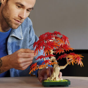 LEGO Botanicals Jaapani punase vahtra bonsaipuu - Image 5