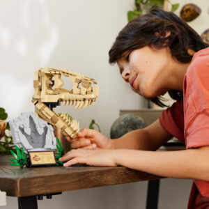 LEGO Jurassic World Dinosauruse Fossiilid: T. Rexi Pealuu - Image 5