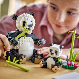 LEGO Creator Metsloomad: panda perekond - pilt 3