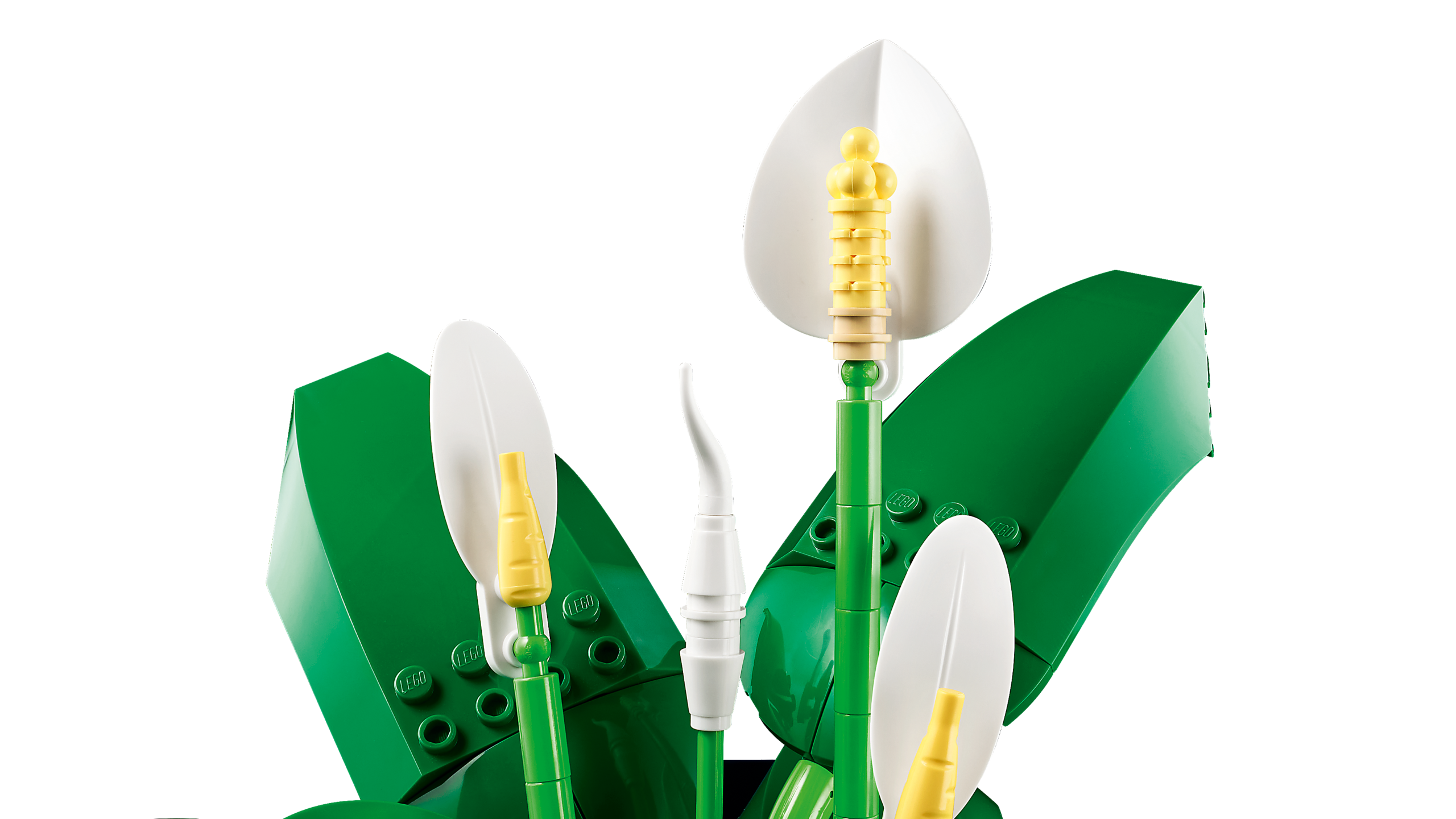 LEGO Botanicals Tõlvlehik - Image 4